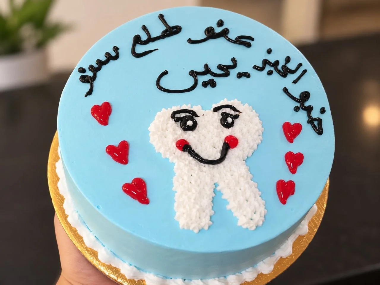 كاتو بتصميم سن لطيف